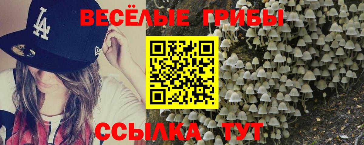 Галлюциногенные грибы GOLDEN TEACHER Клин